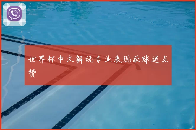 世界杯中文解说专业表现获球迷点赞