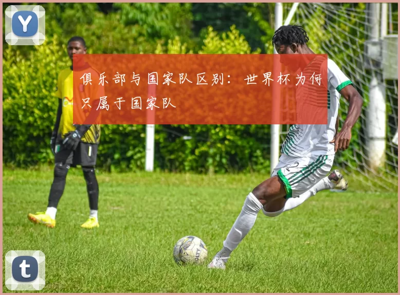 俱乐部与国家队区别:世界杯为何只属于国家队