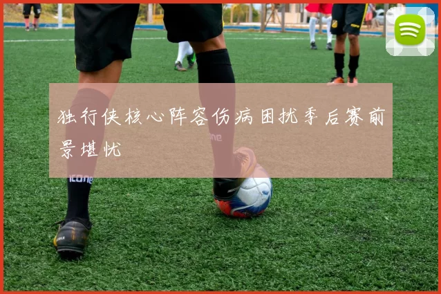独行侠核心阵容伤病困扰季后赛前景堪忧