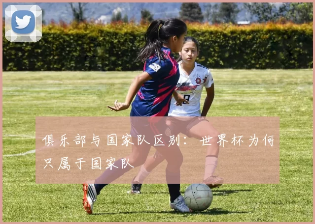 俱乐部与国家队区别:世界杯为何只属于国家队