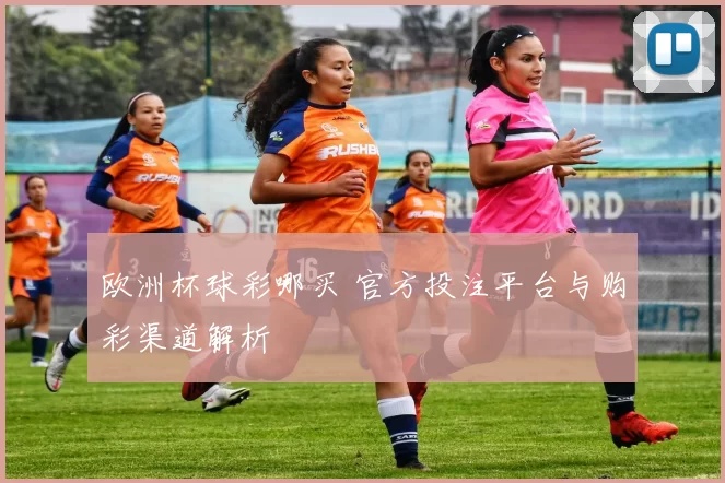 欧洲杯球彩哪买 官方投注平台与购彩渠道解析